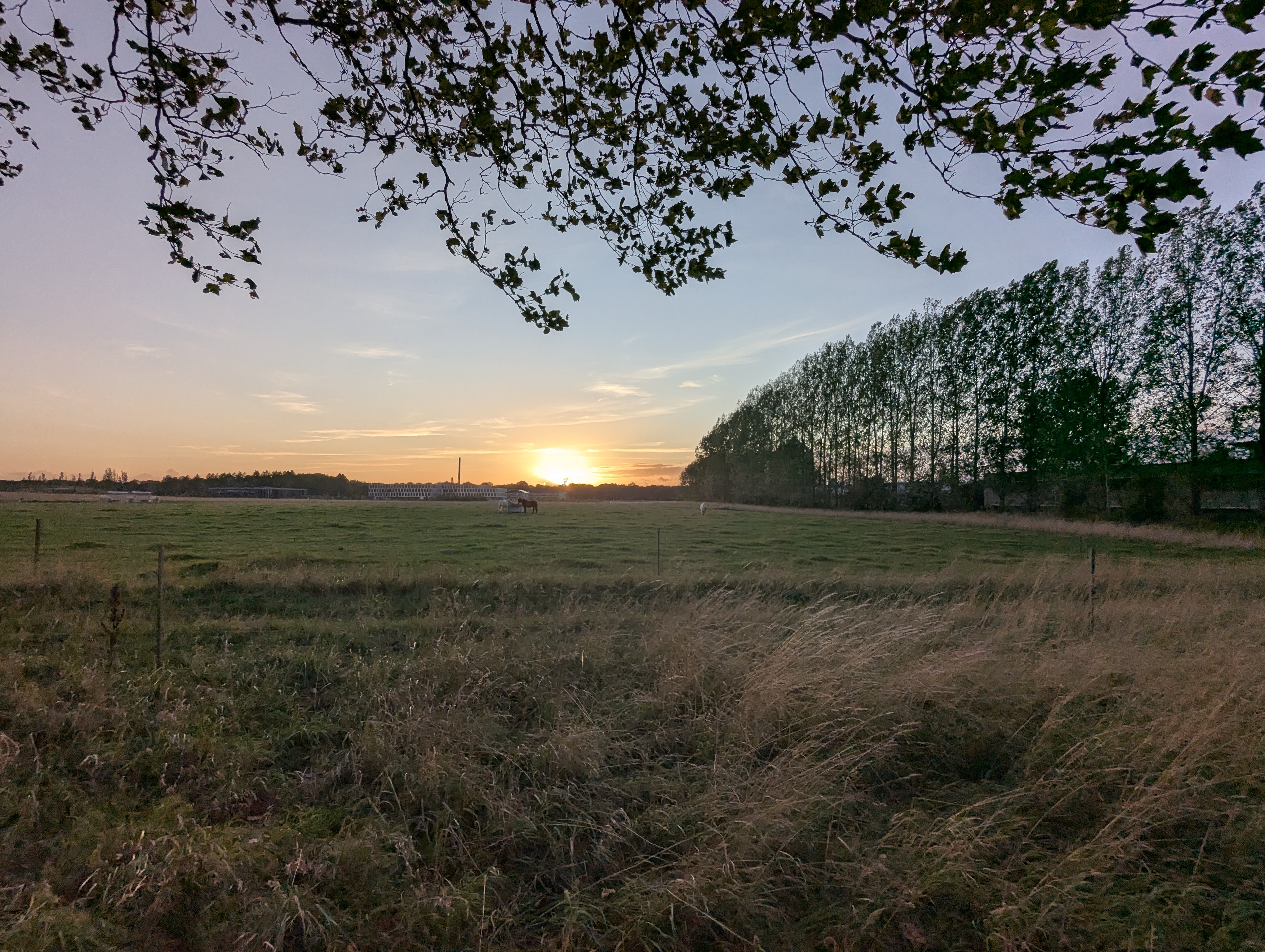 Lyngby,DTU, SSPC, Truls Norby, Denmark